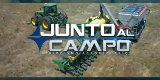 Junto al Campo